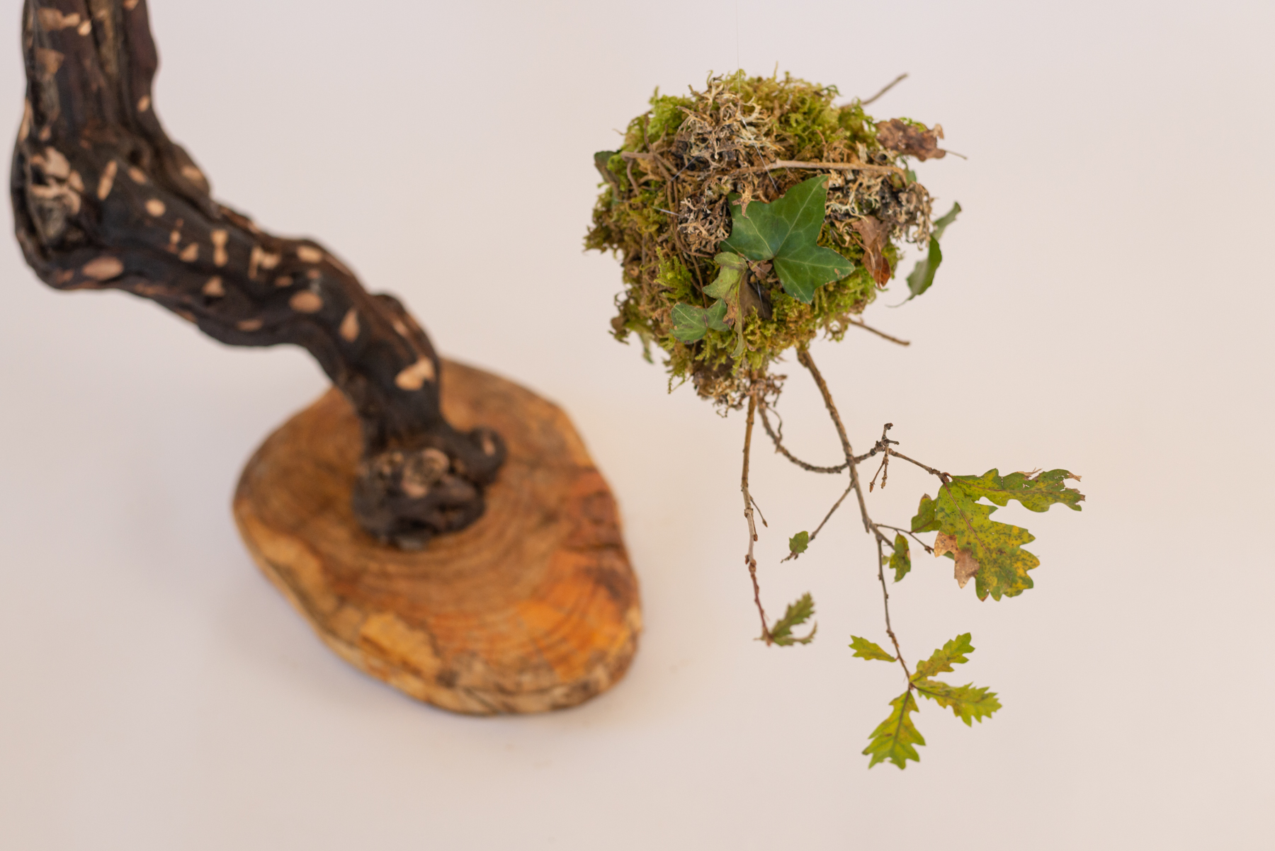 Sculpture "Girafino"