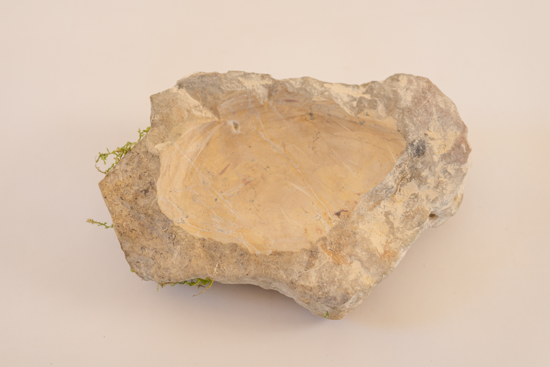 Coupelle "kalkŝtono N3 "