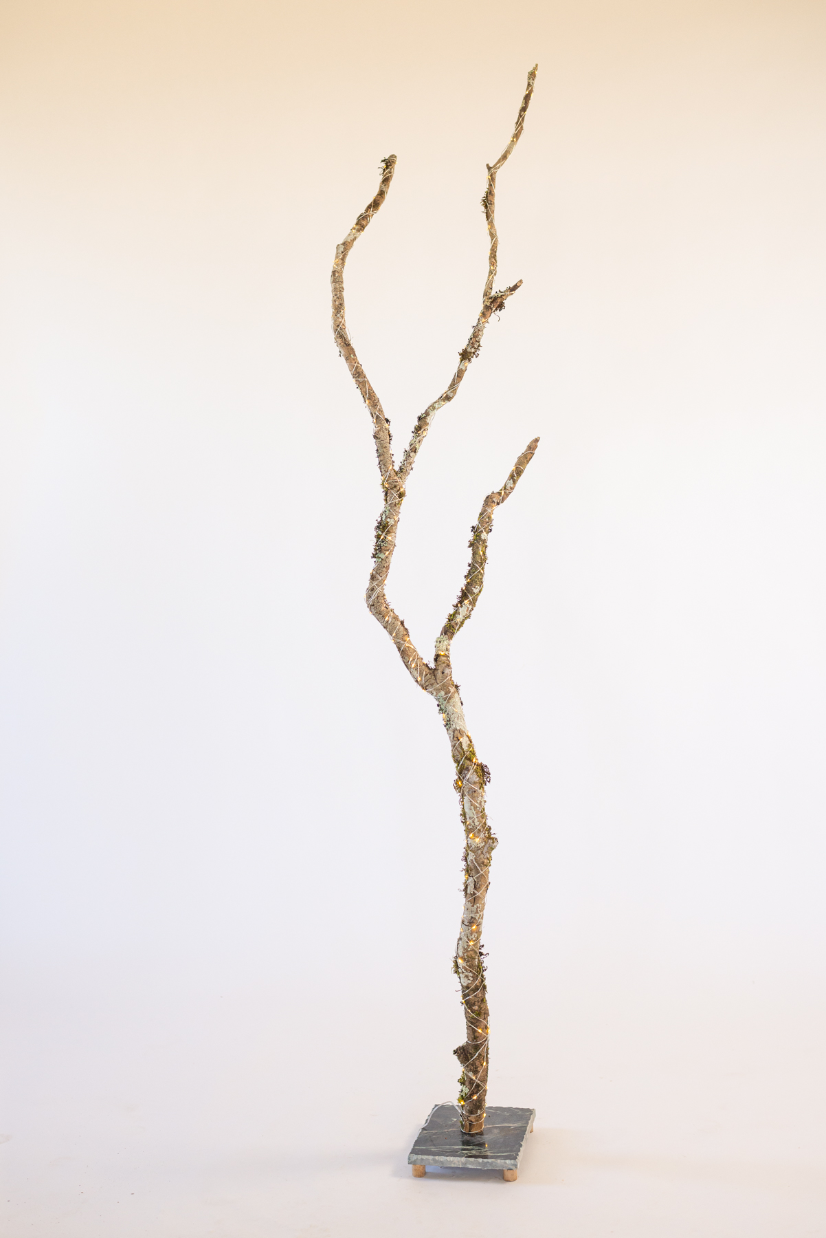 Lambe "Branco punktoj N2"