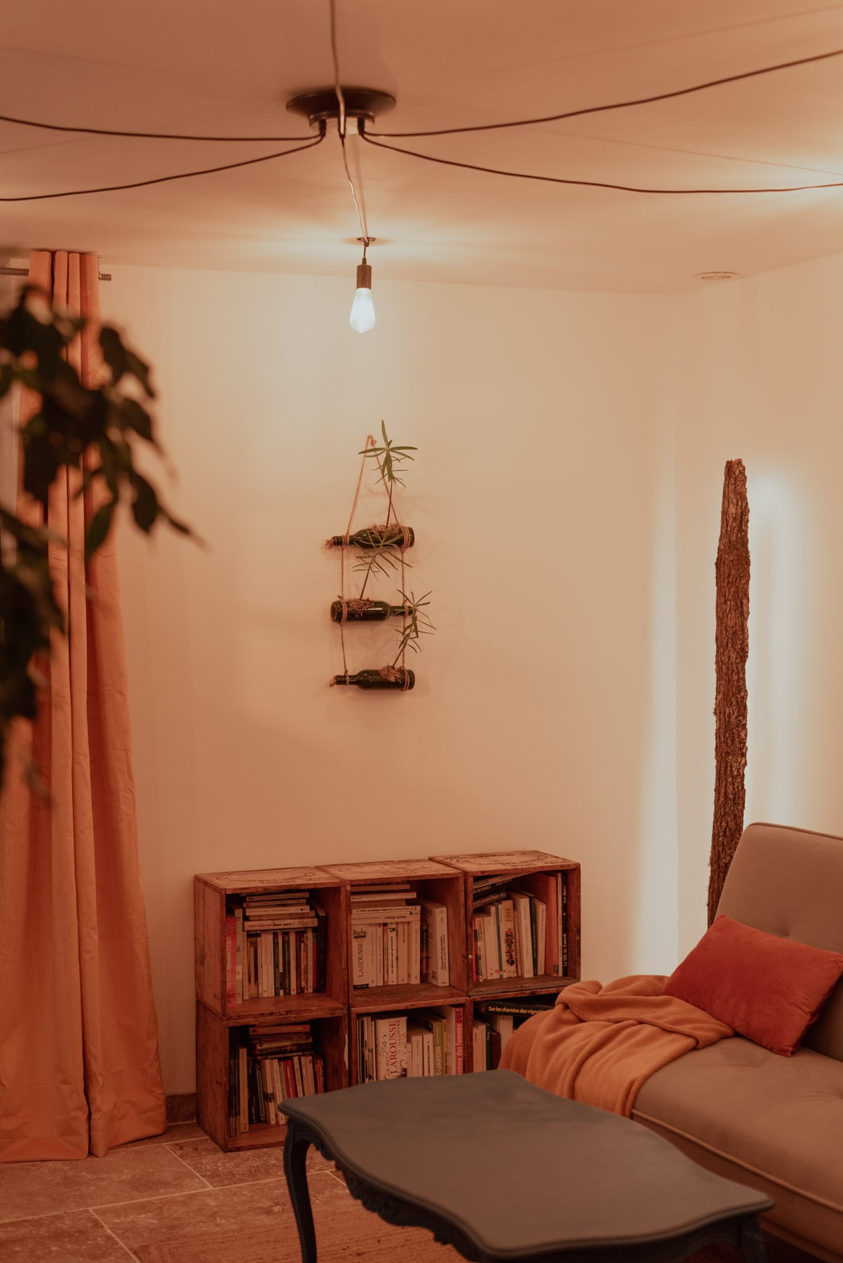 Jardinière "Pendantaj boteloj" (Euphorbes)