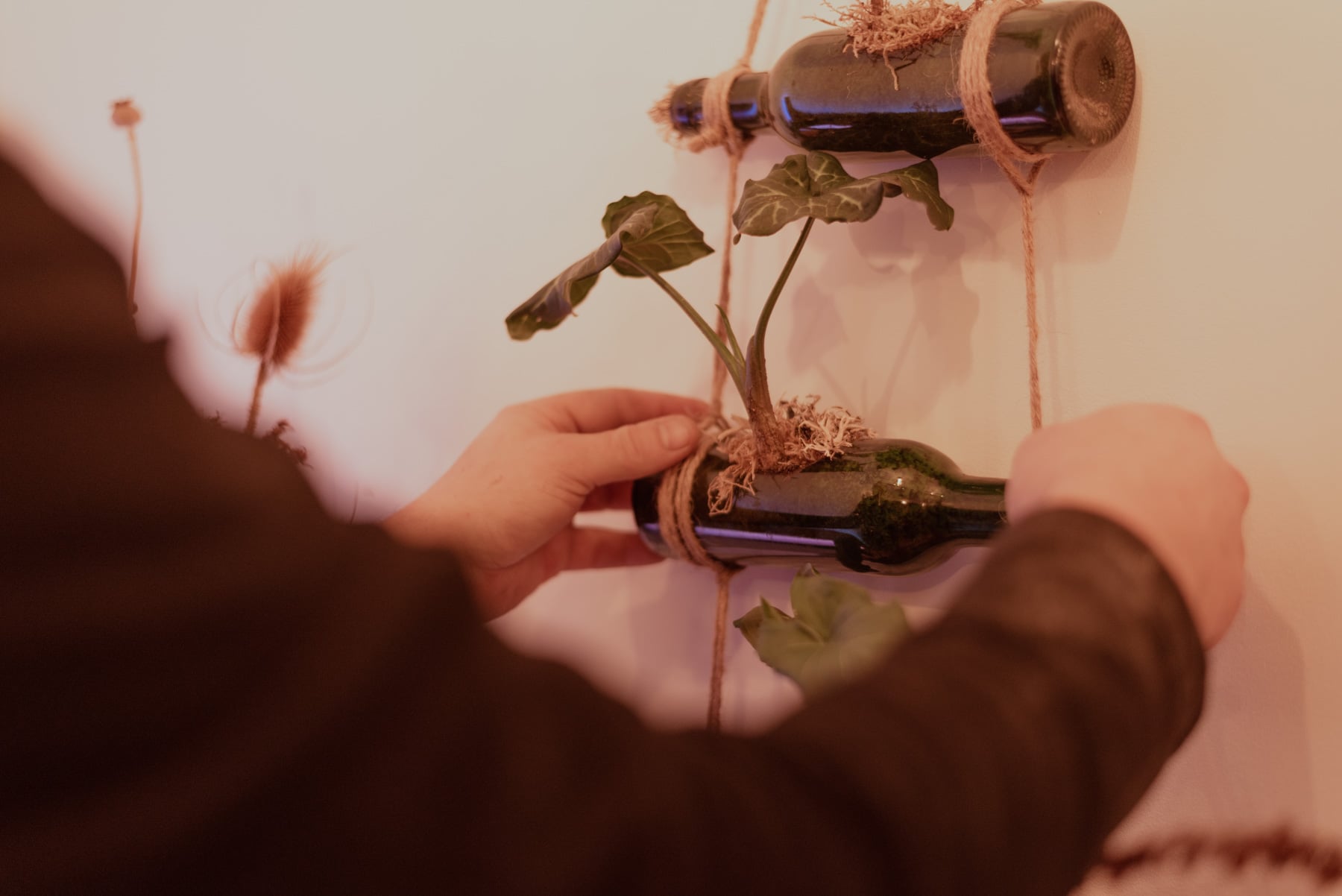 Jardinière "pendantaj boteloj " (Arum)