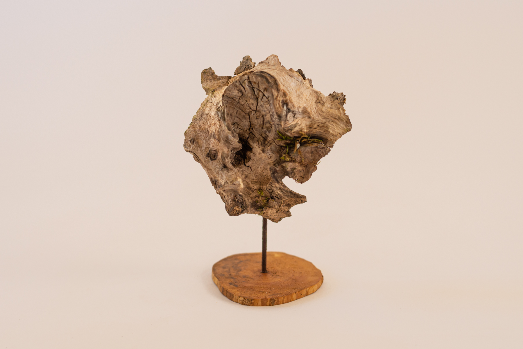 Sculpture "Eta stumpo N1"