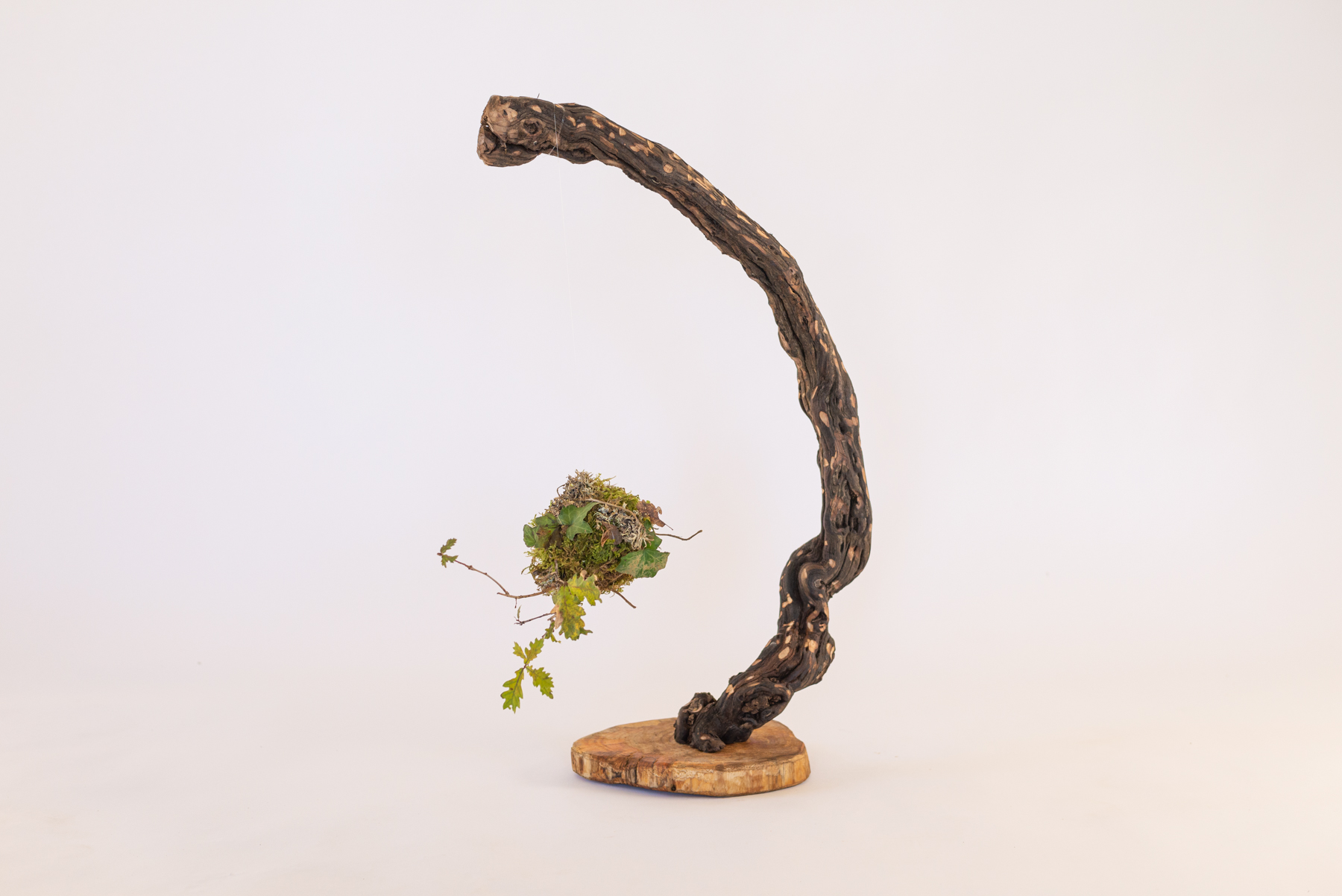 Sculpture "Girafino"