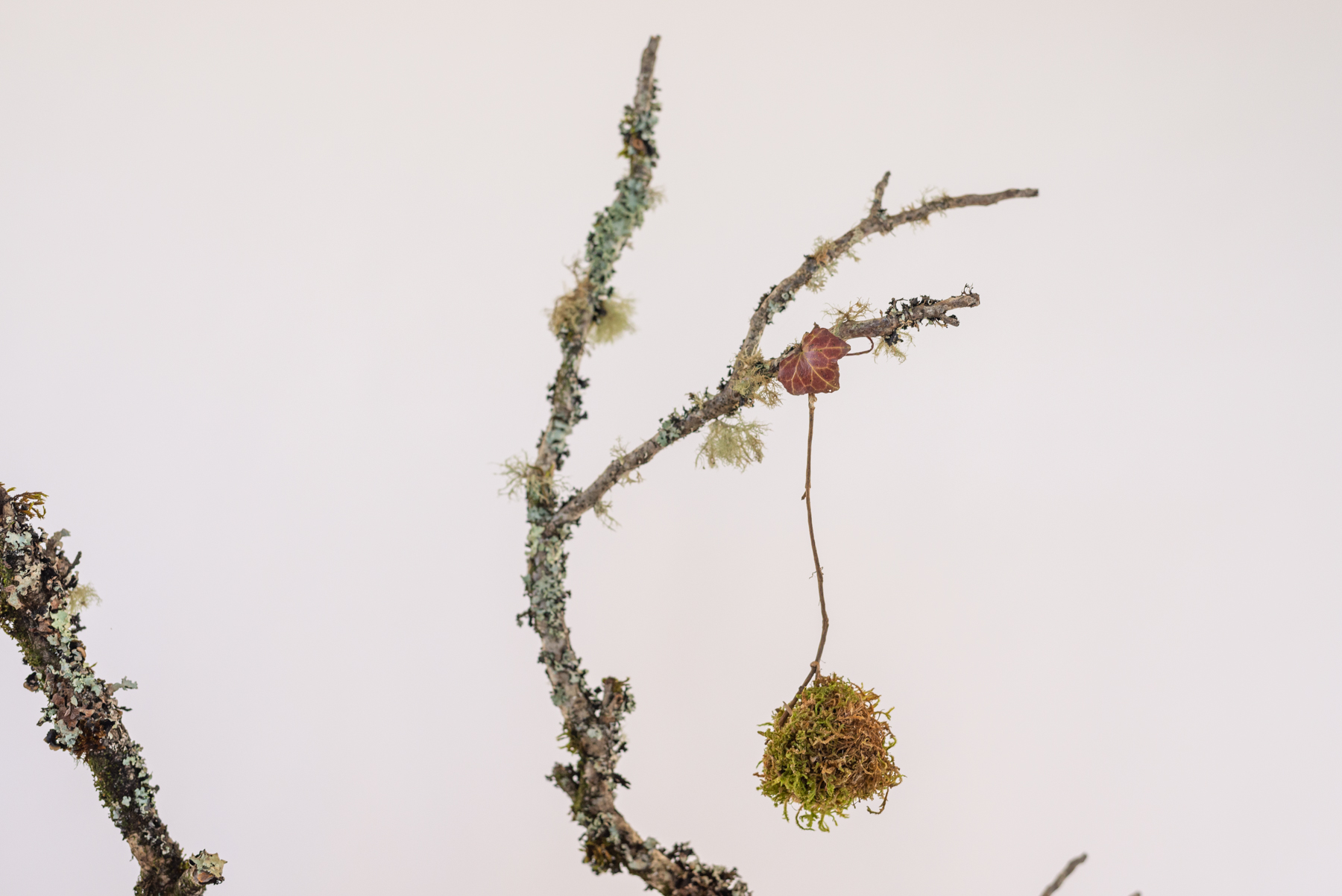 Sculpture "Bola Arbo"