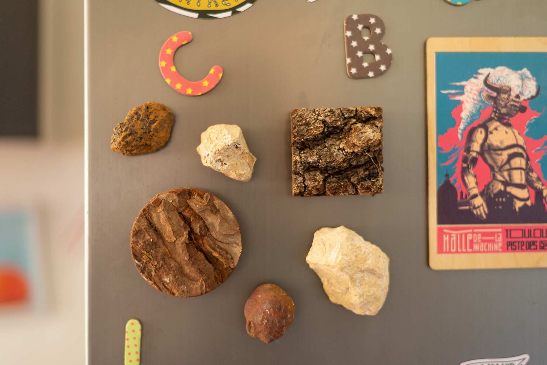 Magnets "ŝtonoj kaj ŝeloj"