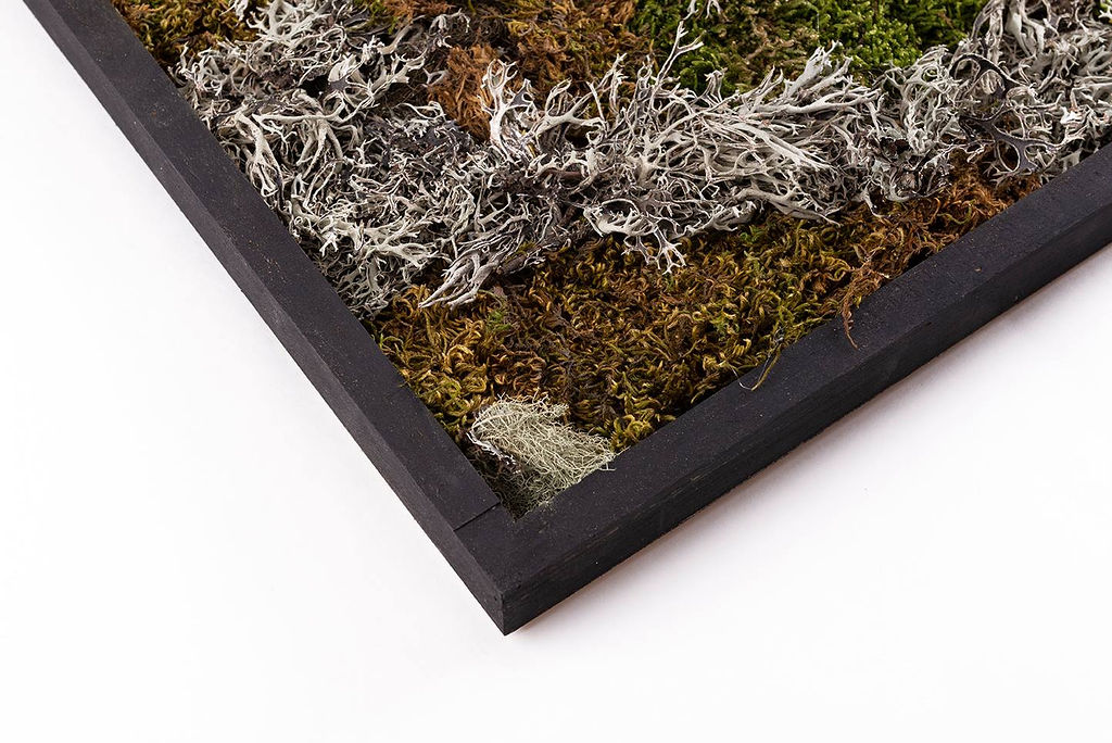 Tableau végétal "Kadro"