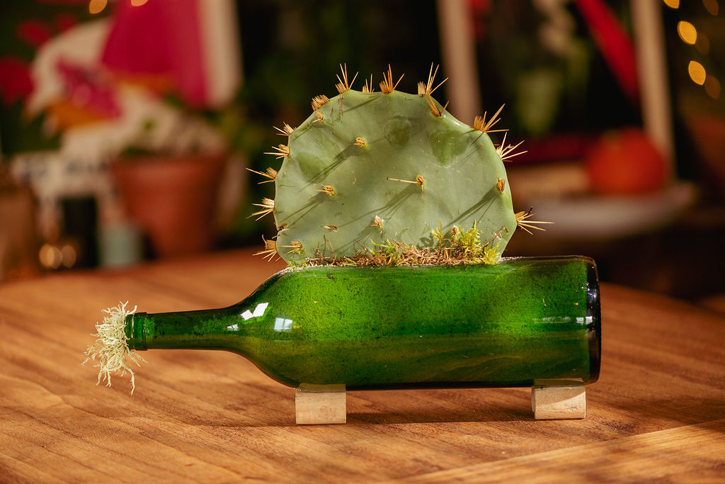 Sculpture " kaktuso en botelo"