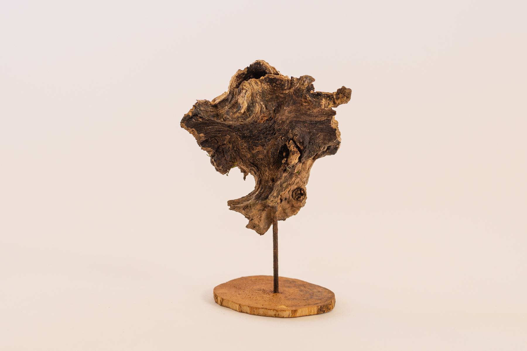 Sculpture "Eta stumpo N1"