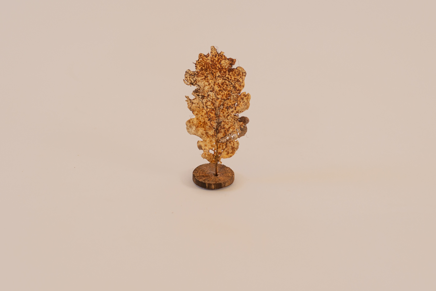 Sculpture "Folio N3"