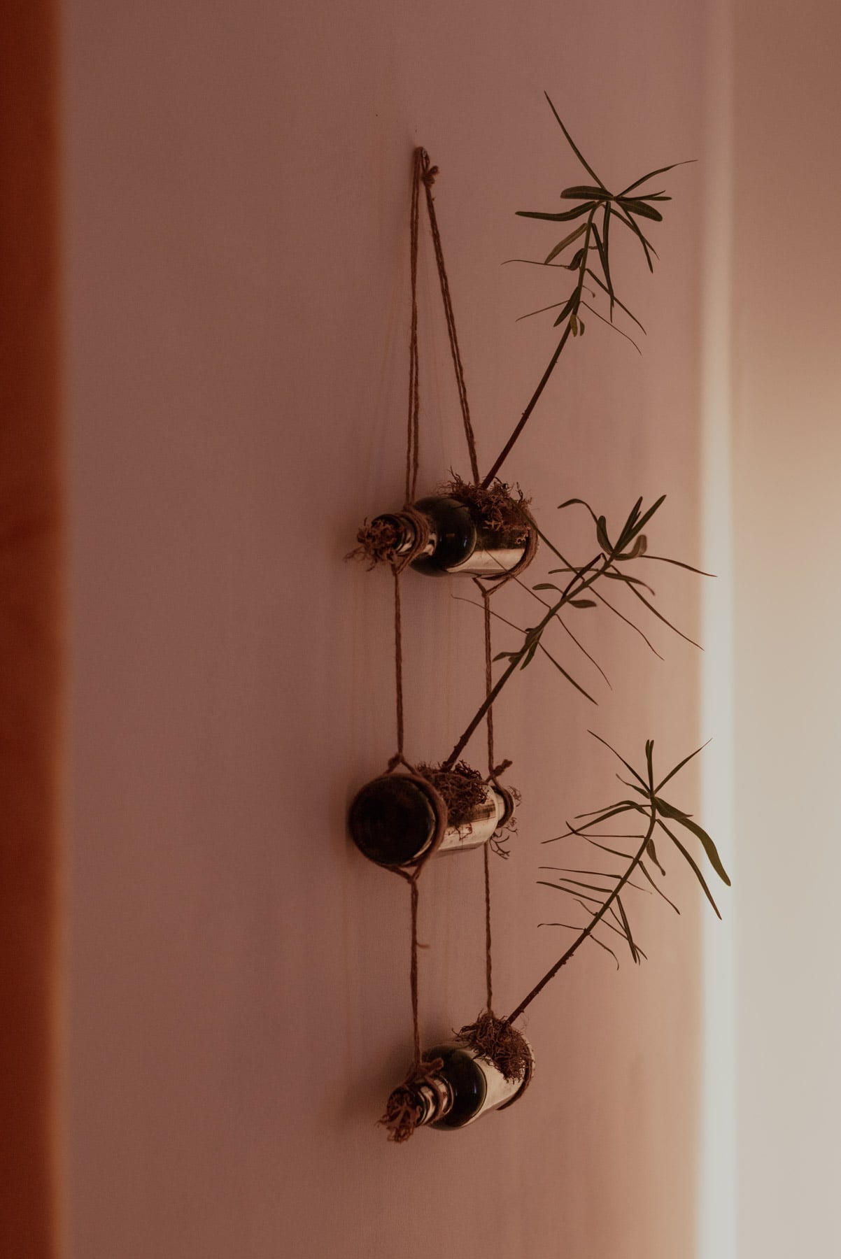 Jardinière "Pendantaj boteloj" (Euphorbes)