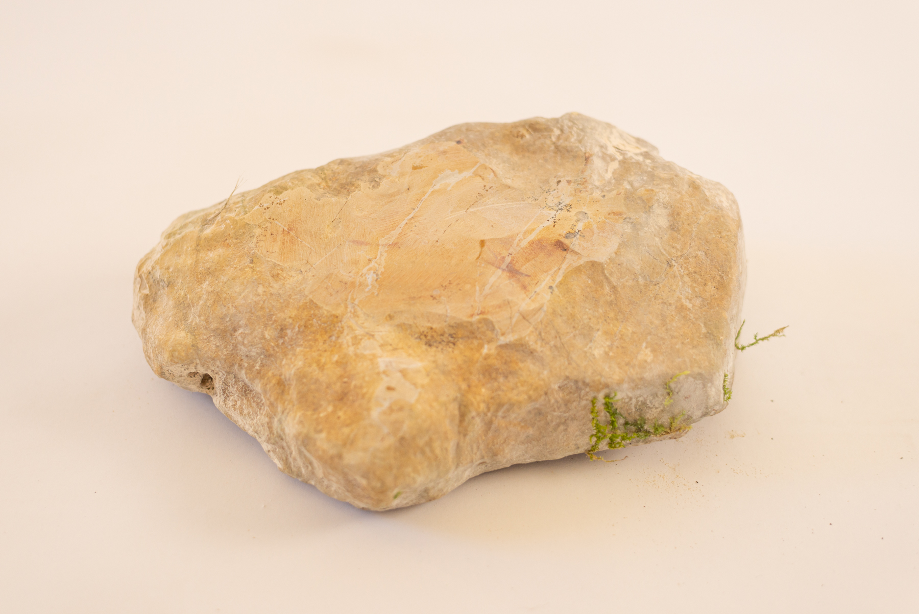 Coupelle "kalkŝtono N3 "