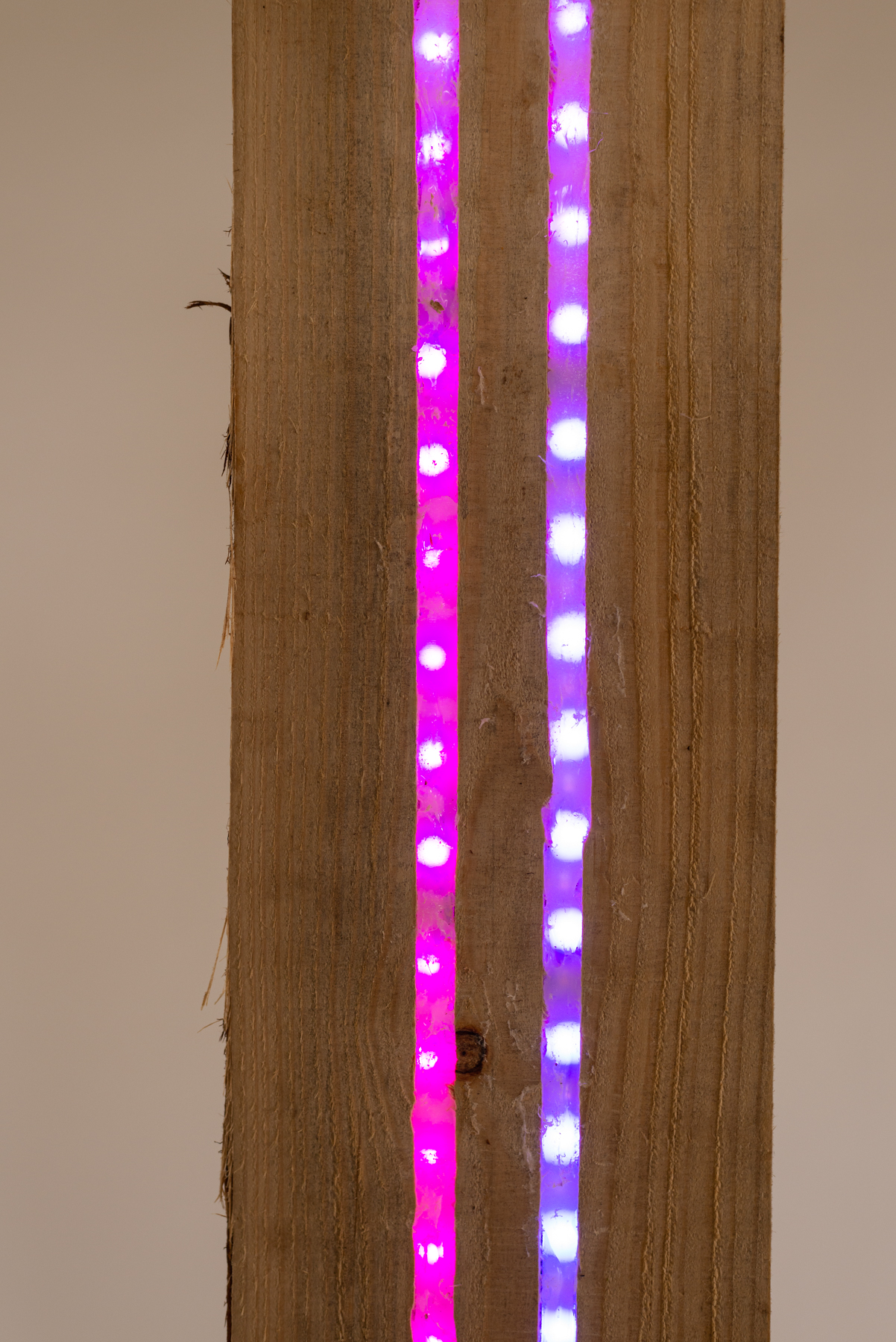 Lampe "Aŭbier-douglaso N2" 