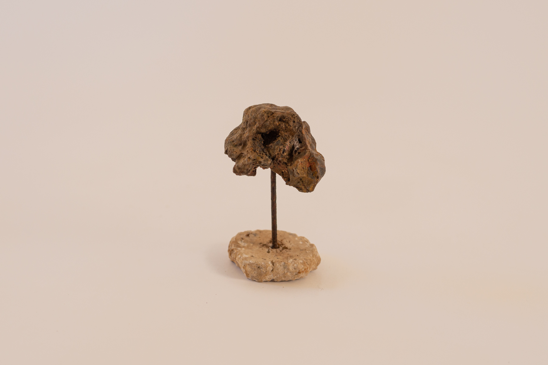 Sculpture "Fera Roko"