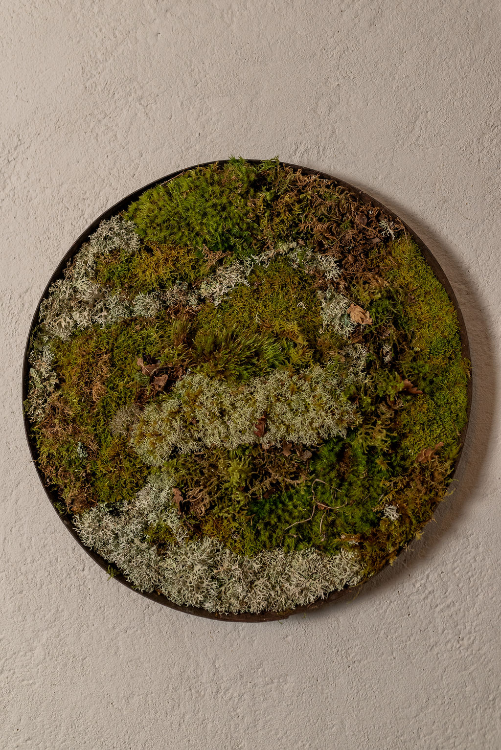 Tableau végétal "Ringo"