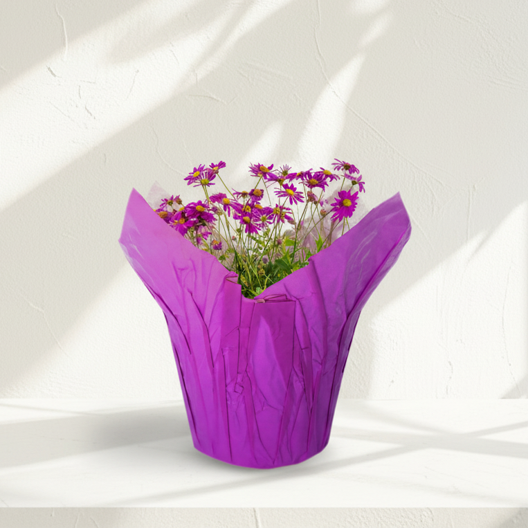 White Kraft Pot Cover