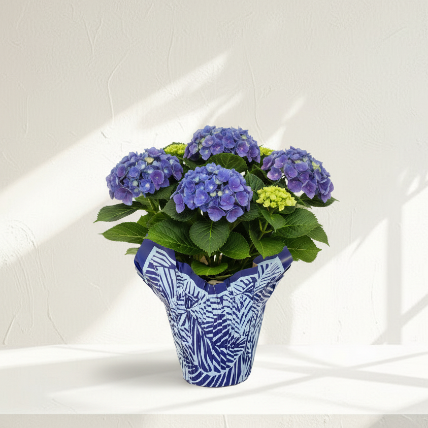 Custom Printed Pot Cover