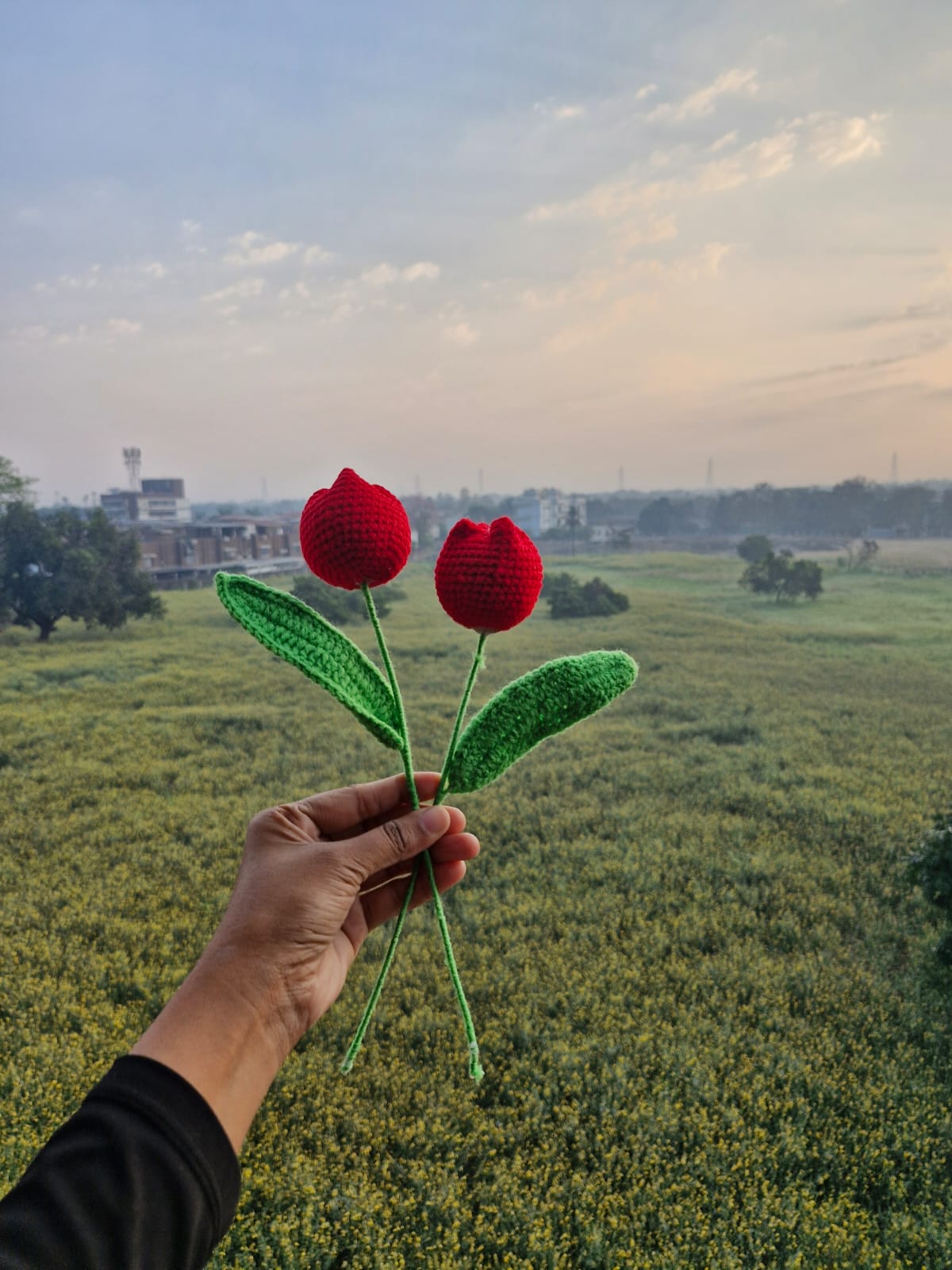 Handmade Crochet Tulip Flowers 