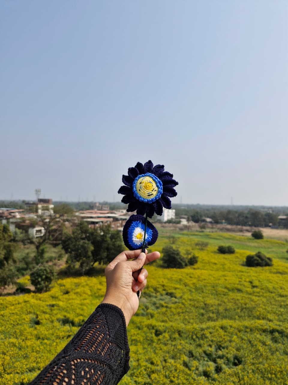 Van Gogh Sunflower Crochet