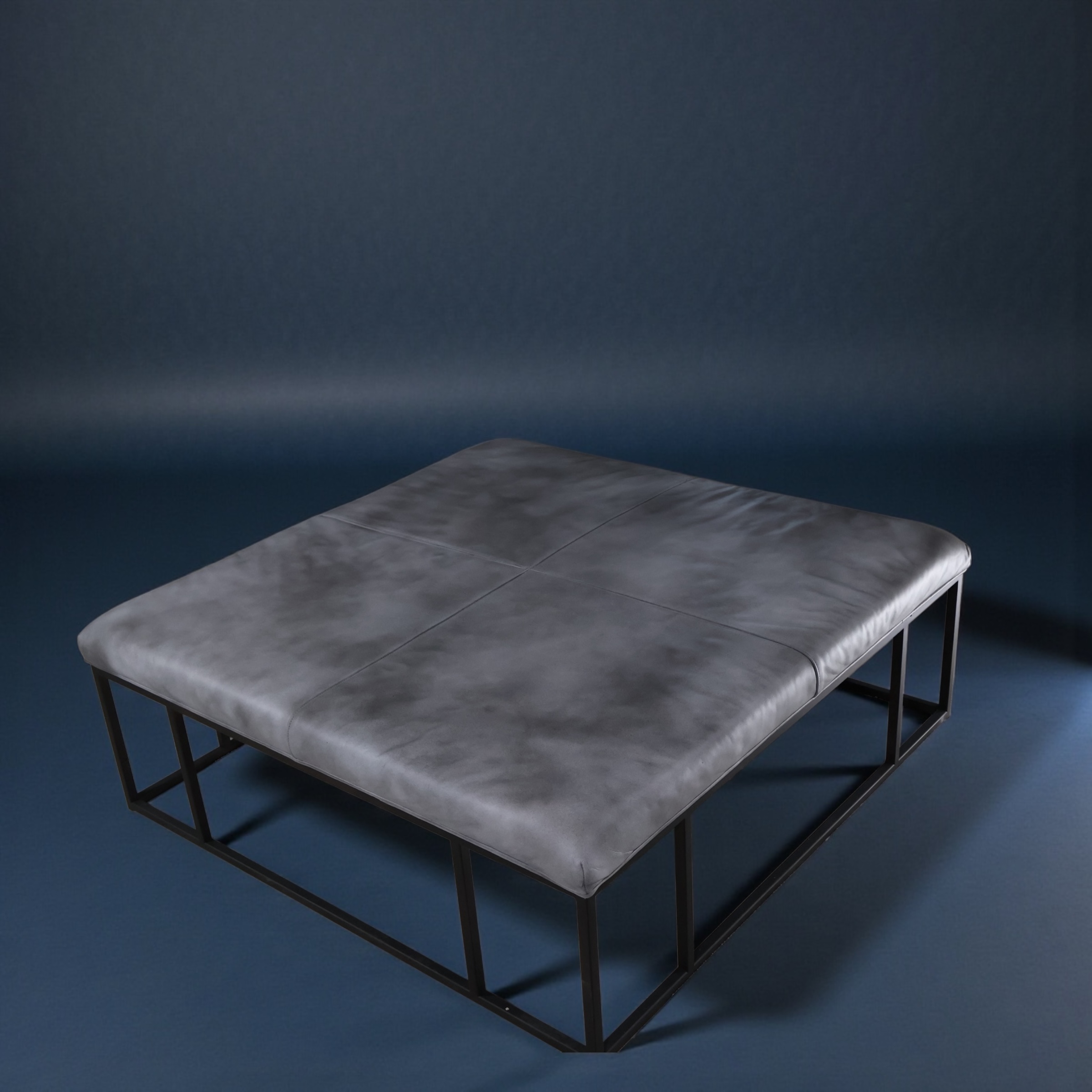 Sculpted Grey Leather Platform — Architectural Low Table