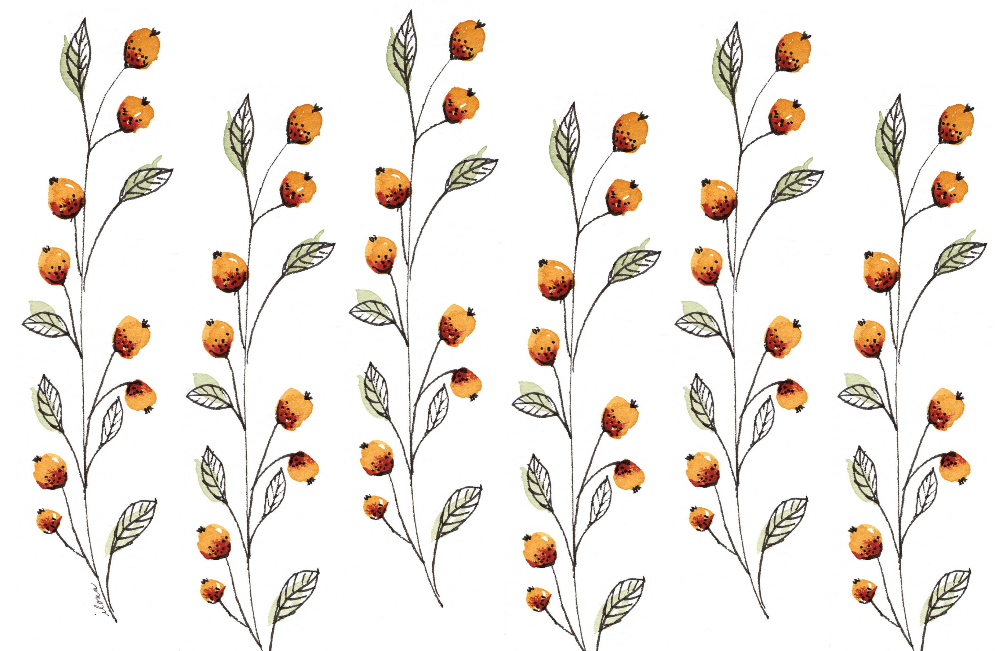 Berries and Branches