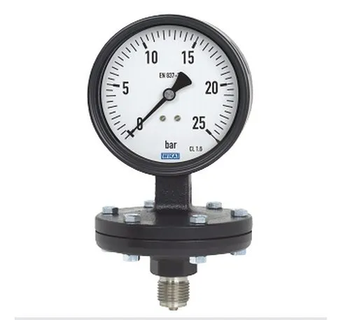 4 inch / 100 mm Diaphragm pressure gauge model 422.12