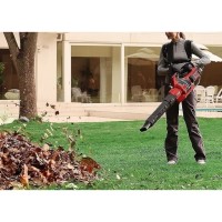 Akumuliatorinis bešepetėlinis pūstuvas 58V, KDLB58211FDK, DCK (1x5,0Ah akumuliatorius, įkroviklis)