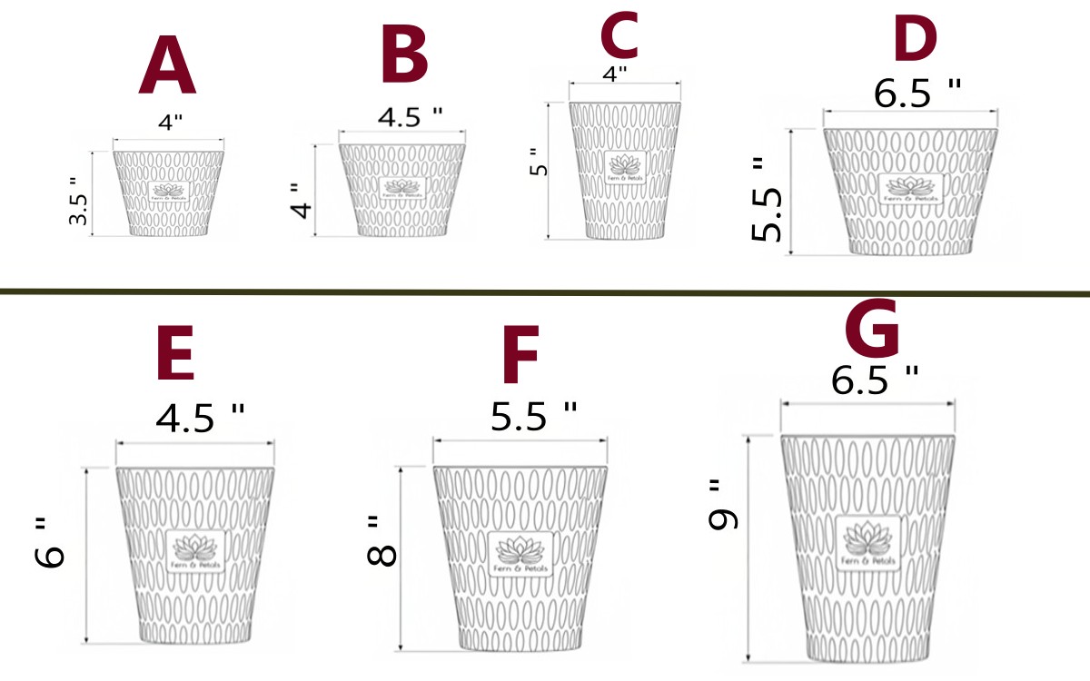 Midnight Bloom Candle