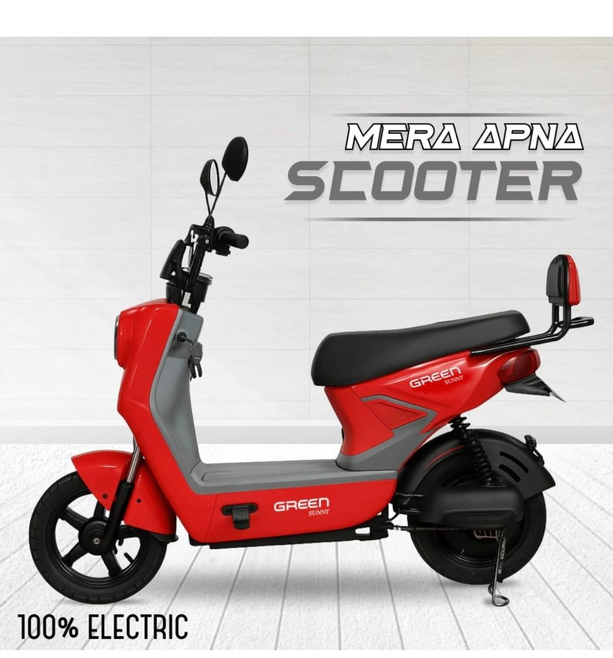 Electric Scooter
