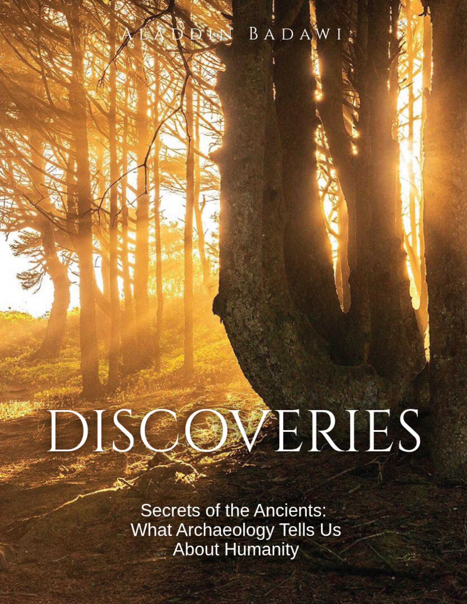 Discoveries