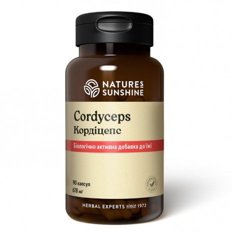 Кордицепс (Cordyceps NSP)