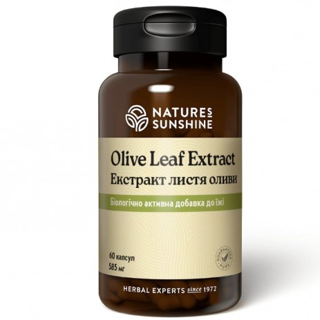 Экстракт листьев оливы (Olive Leaf)