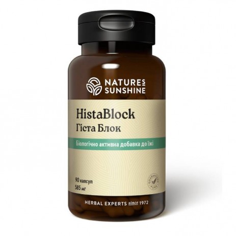 Гиста Блок (Hista Block)