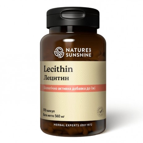 Лецитин (Lecithin)