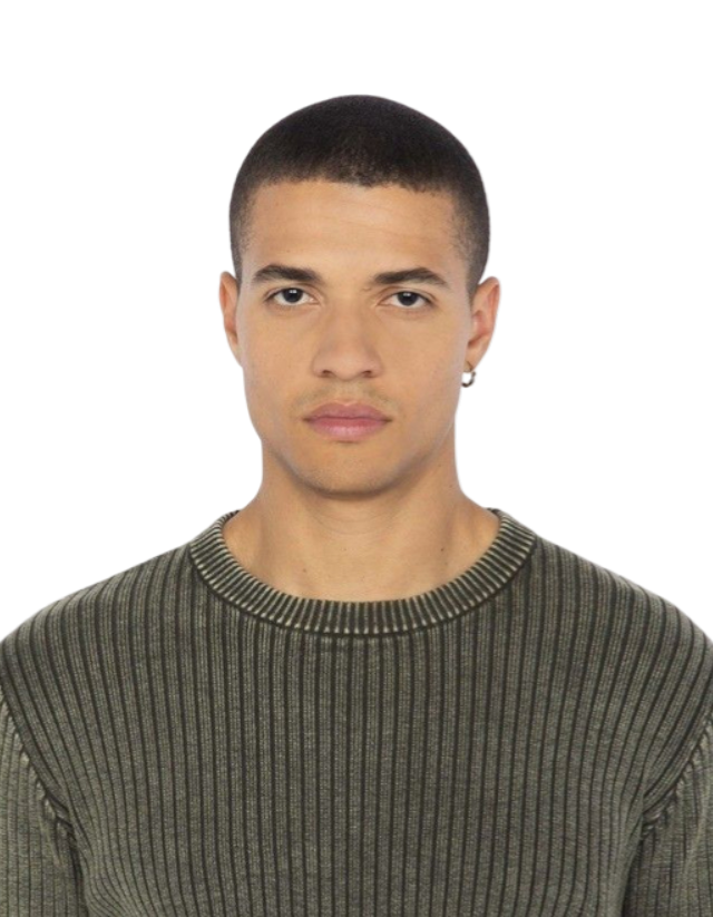 Maglione Girocollo Schott PLKARTER1 Green