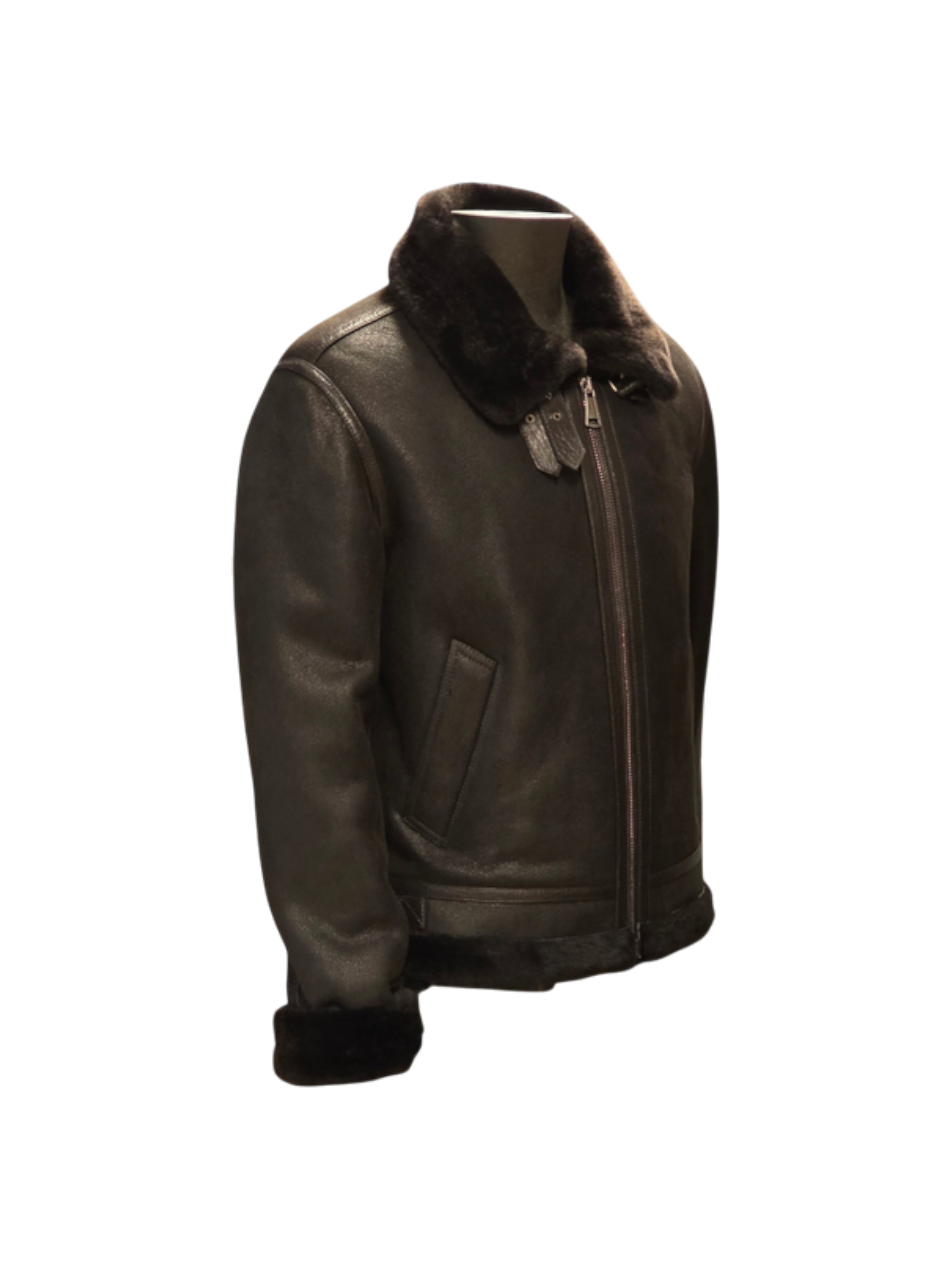 Montone Testa di Moro Aviatore