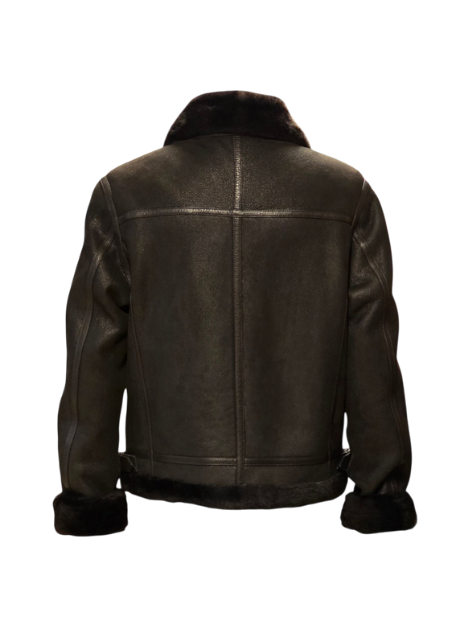 Montone Testa di Moro Aviatore