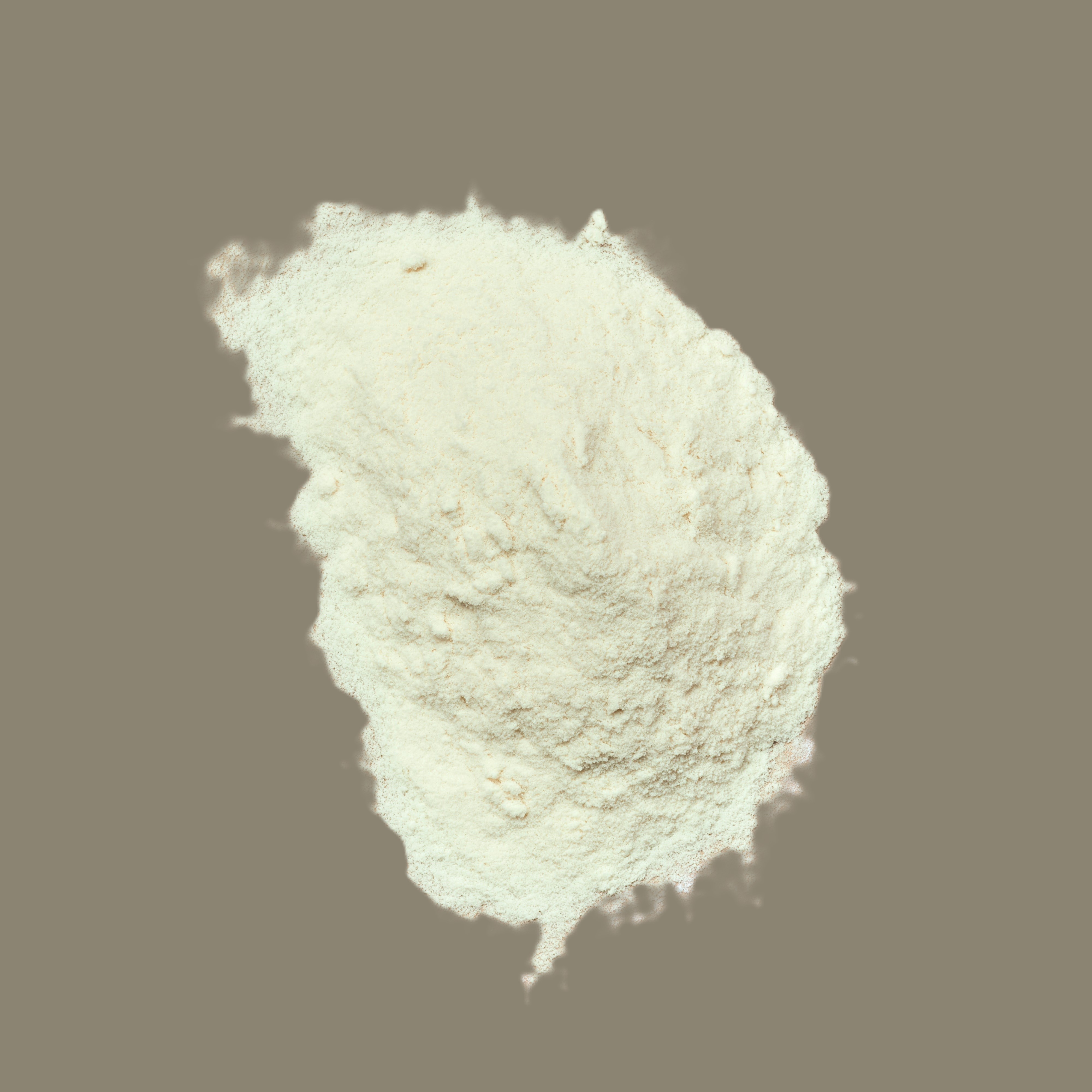 Honey Powder 