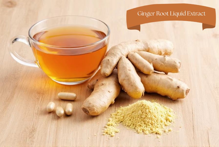 Ginger Root Liquid Extract