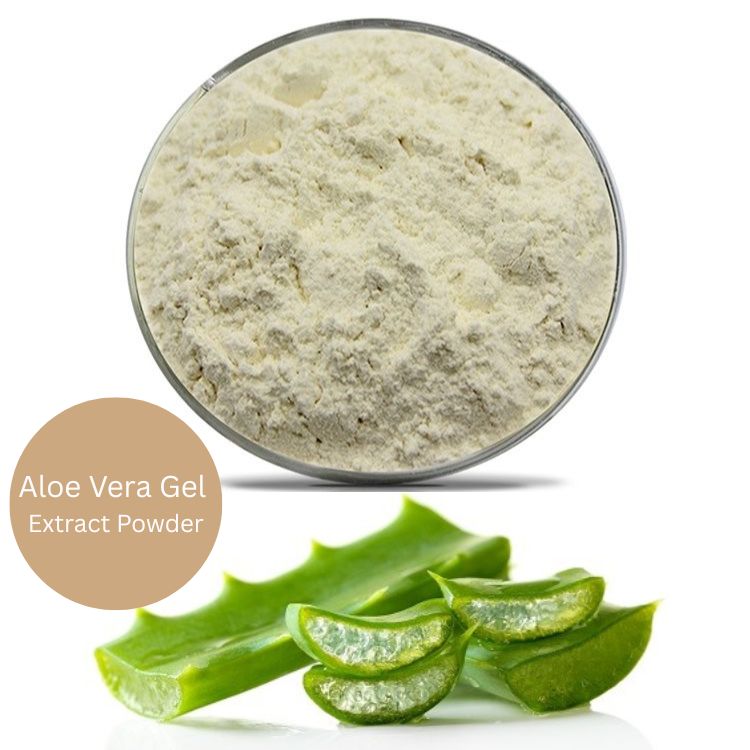 Pure Aloe Vera Gel Extract Powder 200X
