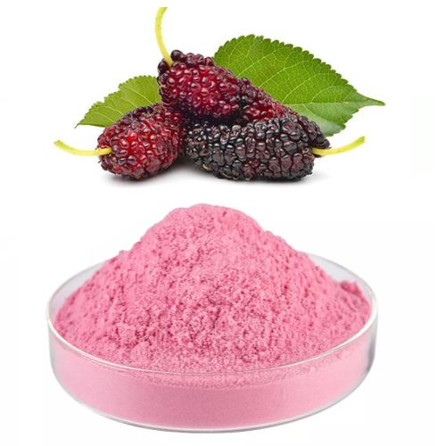 Mulberry Fruit Extract Powder (Pink)
