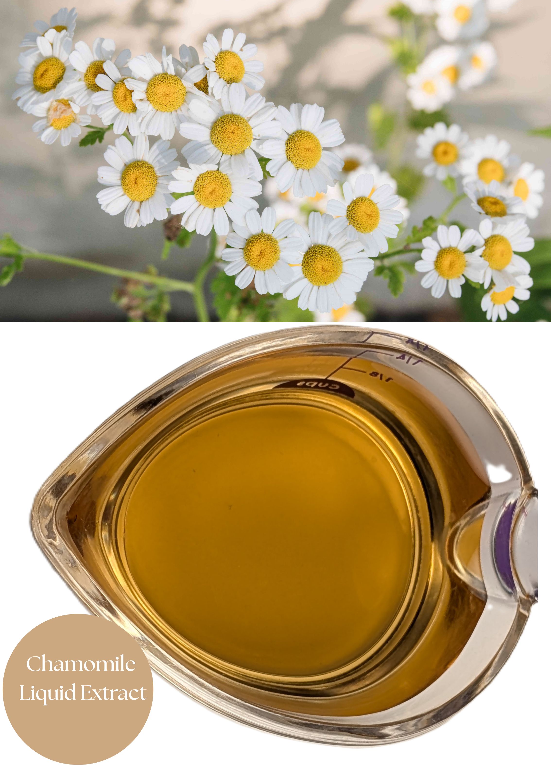 Chamomile Liquid Extract - Cosmetic Grade