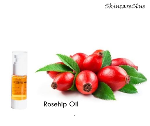 Pure Rosehip Seed Carrier Oil