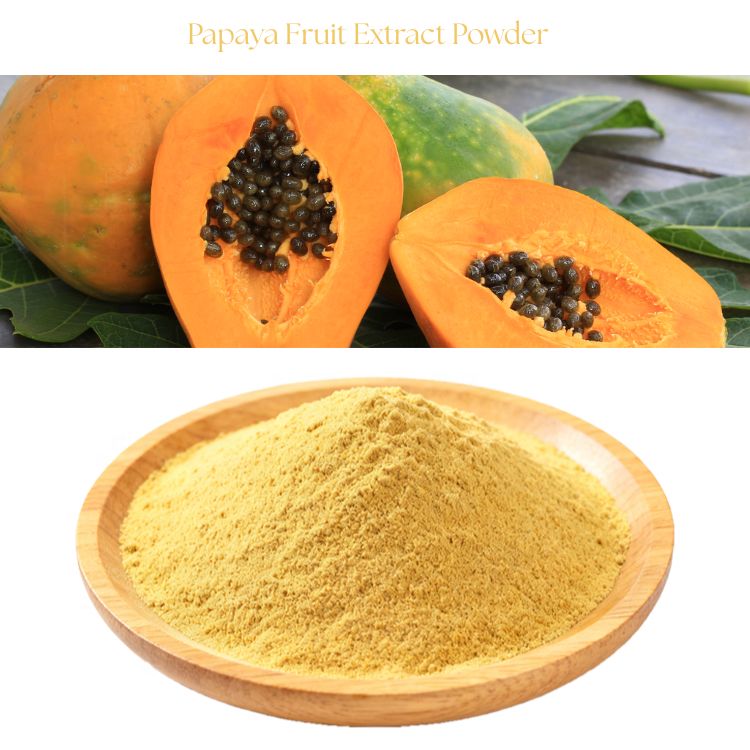 Papaya Fruit Extract Powder (Carica Papaya) 