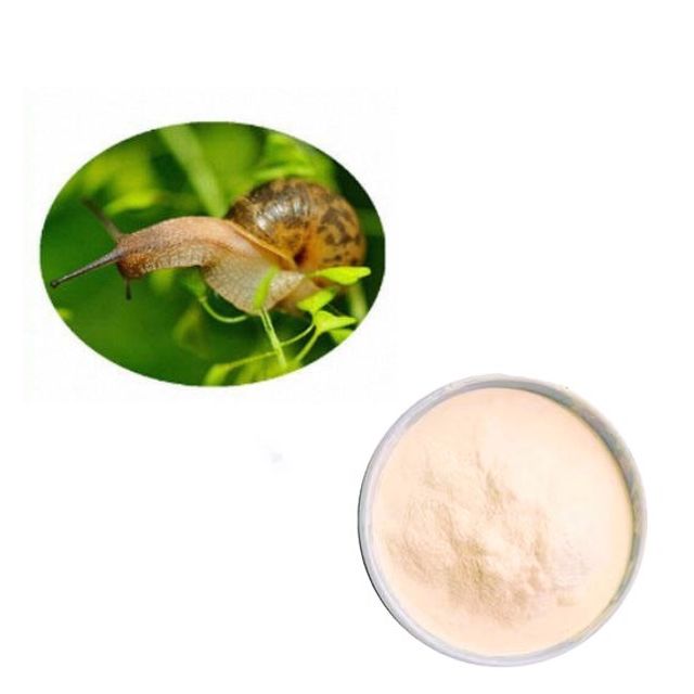 Snail Secretion Filtrate (SSF) Powder - Snail Slime Extract