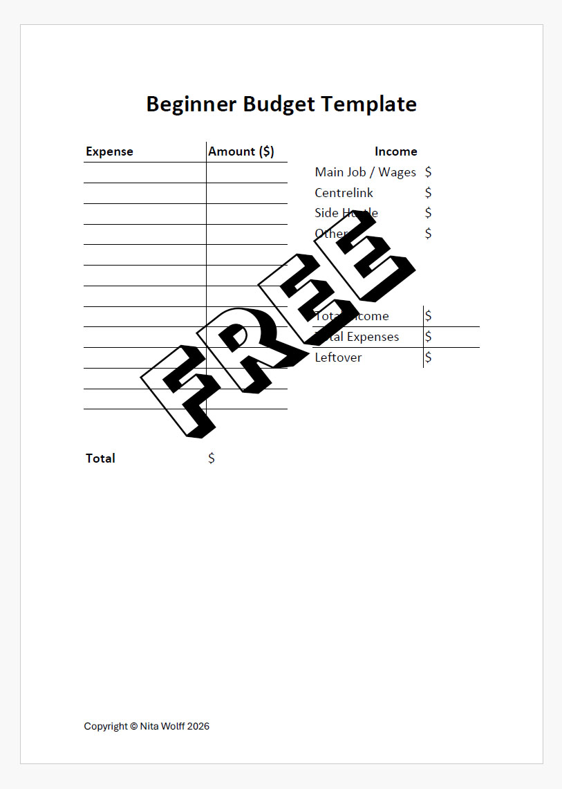 Beginner Budget Template - PDF