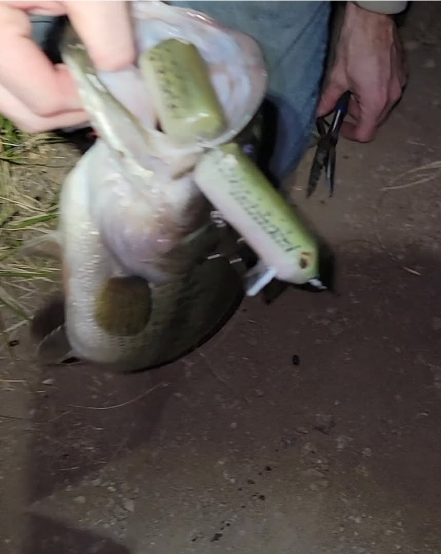 6" Wake Bait