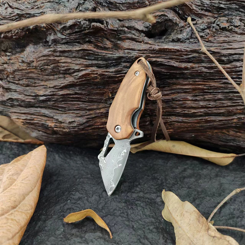 9Cr18 Damascus Steel Mini Folding Pocket Knife - 2.5mm Thickened Blade EDC Tool