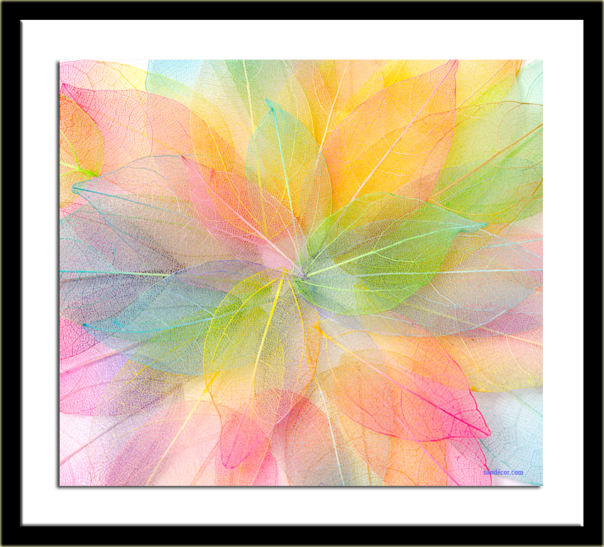 Cadres décor ref : Géométrie 0496