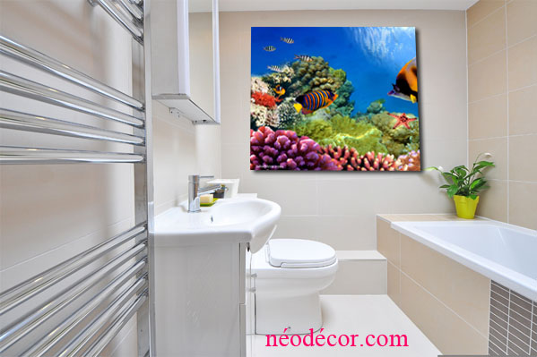 Cadres décor ref : Vision sous marine 1217