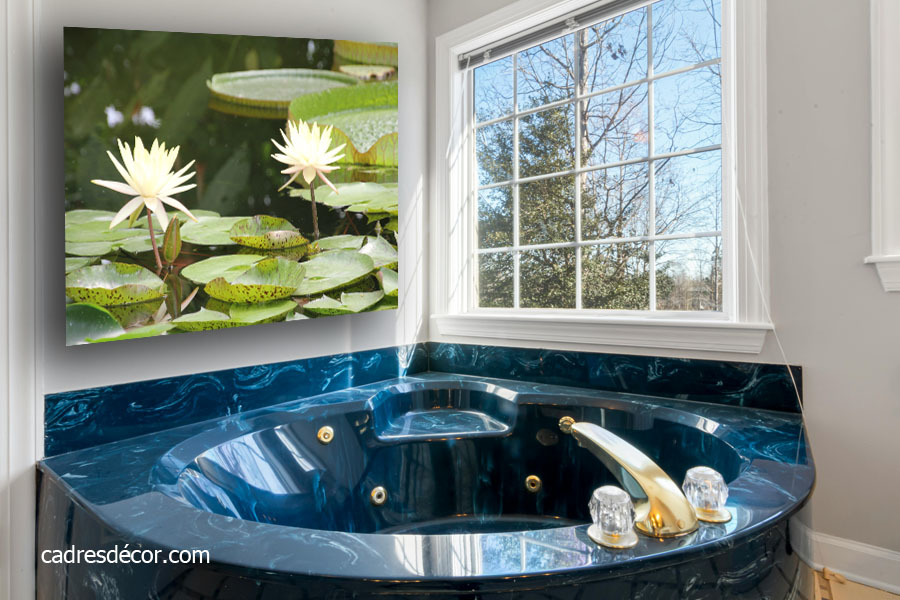 Cadre décor ref : Nature 5193